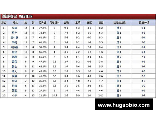 NBA球队2024赛季最新战绩与排名一览